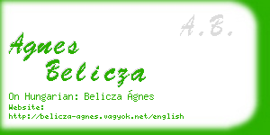 agnes belicza business card