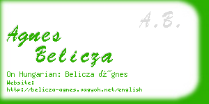 agnes belicza business card